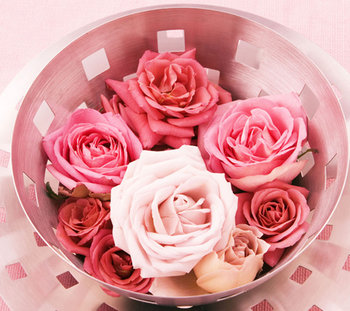 Love Roses.jpg